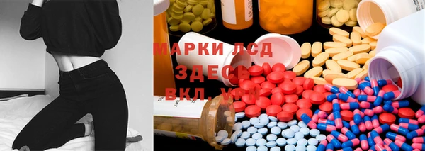 хмурый Абаза