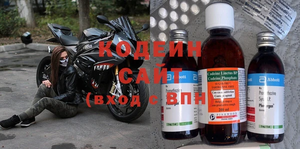 хмурый Абаза