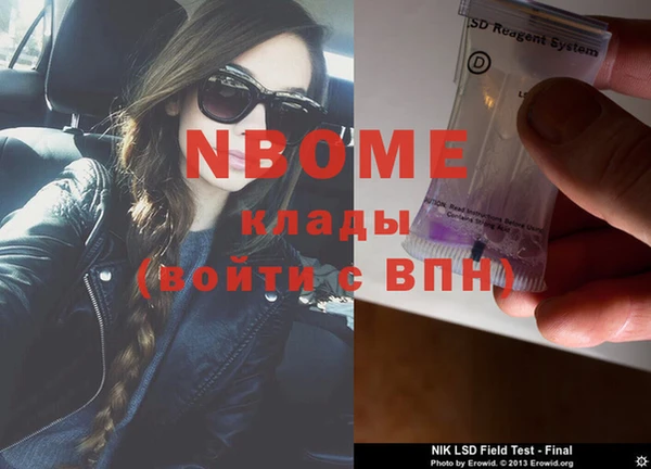 прущие грибы Абинск