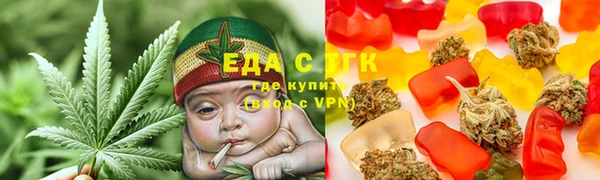 хмурый Абаза